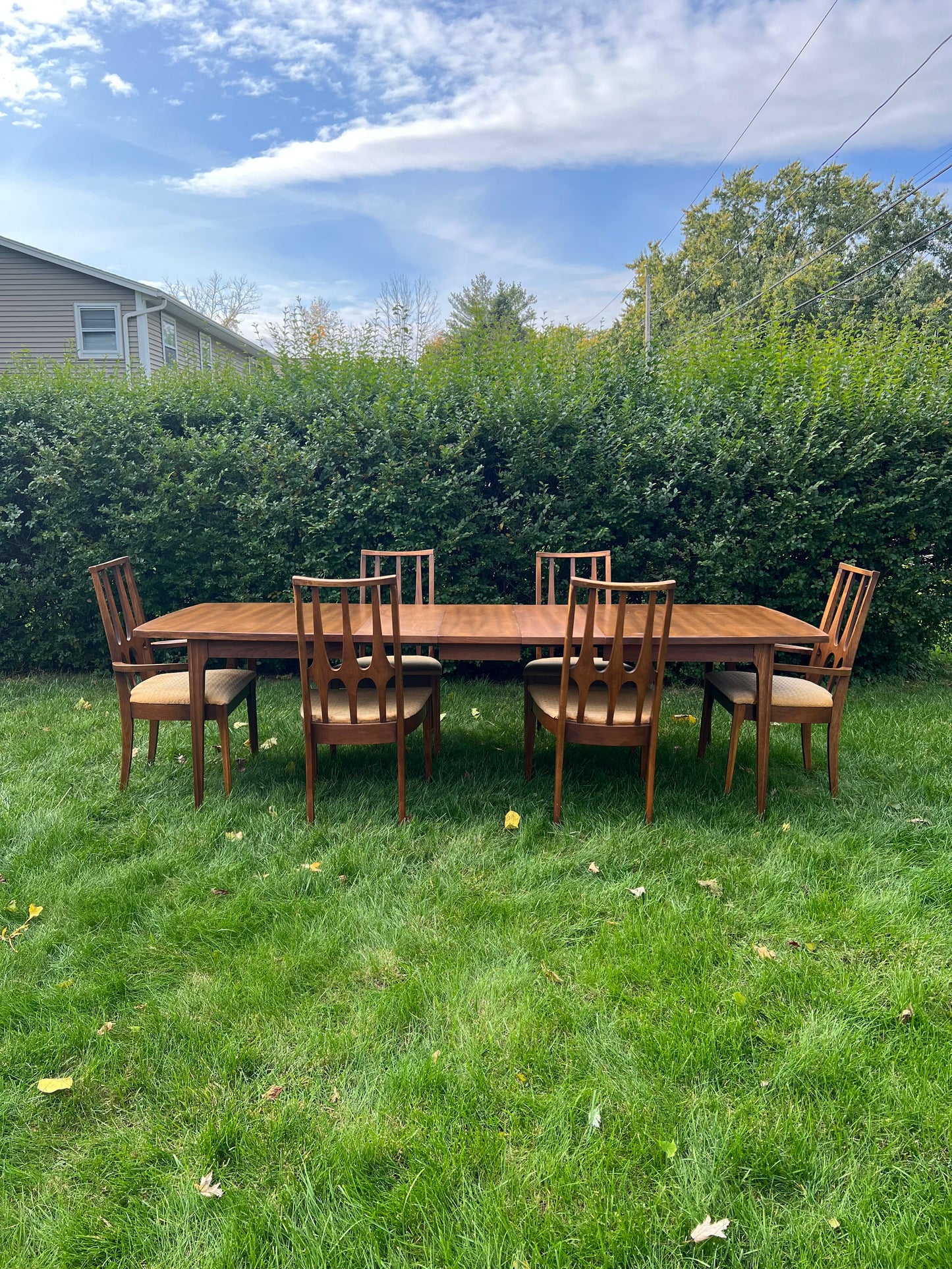 Broyhill Brasilia Dining Table